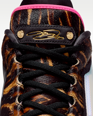 Reviews: LeBron XXIII 